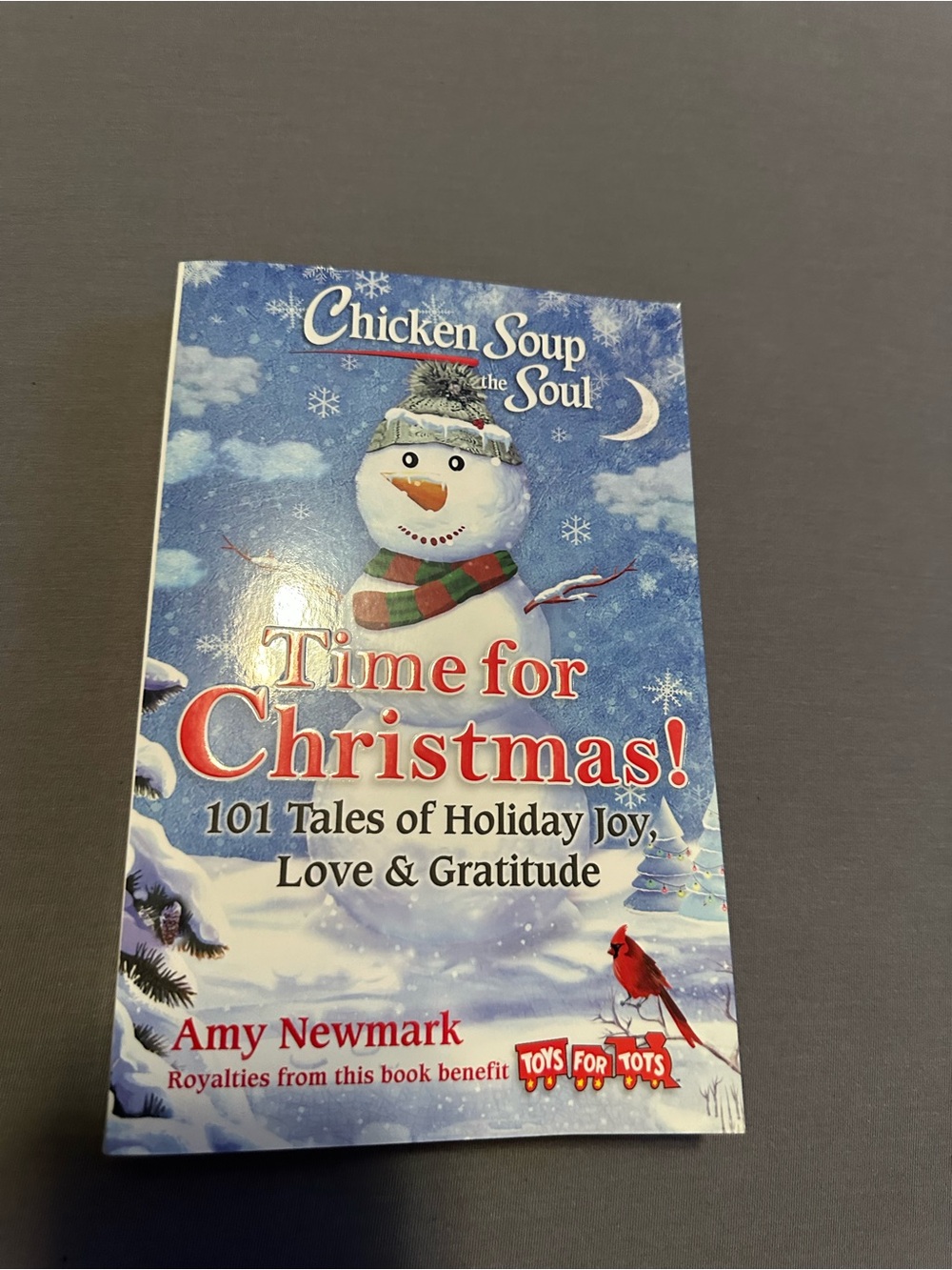 Chicken Soup for the Soul: Time for Christmas! - Holiday Blue & White Cover